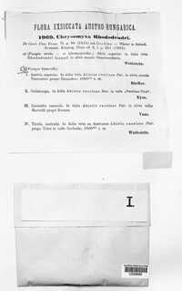 Image Associated With the Occurence